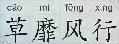 草靡风行的拼音