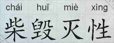 柴毁灭性的拼音