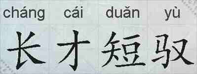 长才短驭的拼音
