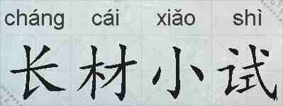 长材小试的拼音