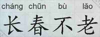 长春不老的拼音