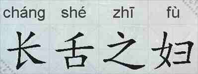 长舌之妇的拼音