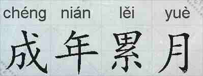 成年累月的拼音