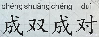 成双成对的拼音
