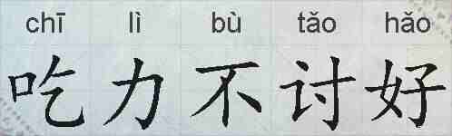 吃力不讨好的拼音