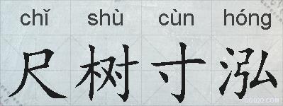 尺树寸泓的拼音