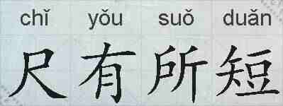尺有所短的拼音