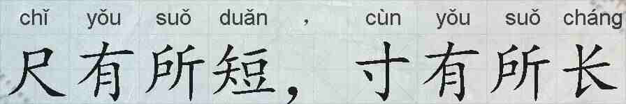 尺有所短,寸有所长的拼音