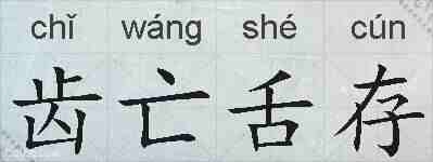 齿亡舌存的拼音