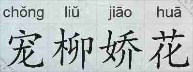 宠柳娇花的拼音