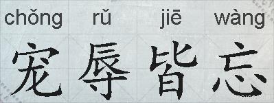 宠辱皆忘的拼音