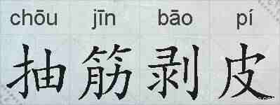 抽筋剥皮的拼音