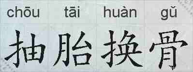 抽胎换骨的拼音