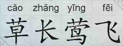 草长莺飞的拼音