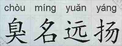臭名远扬的拼音
