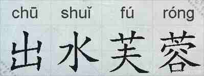 出水芙蓉的拼音