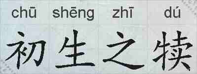 初生之犊的拼音