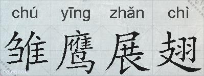 雏鹰展翅的拼音