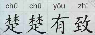 楚楚有致的拼音