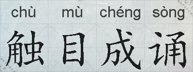 触目成诵的拼音