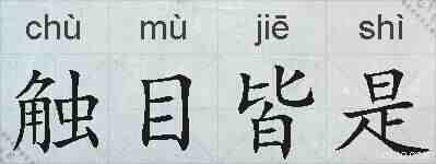 触目皆是的拼音