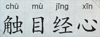 触目经心的拼音