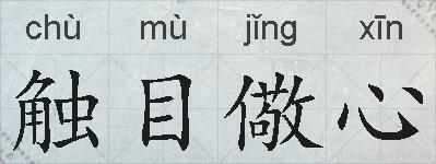 触目儆心的拼音