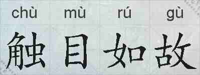 触目如故的拼音