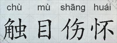 触目伤怀的拼音