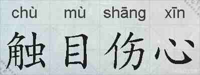触目伤心的拼音