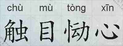 触目恸心的拼音