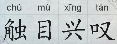 触目兴叹的拼音