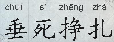 垂死挣扎的拼音