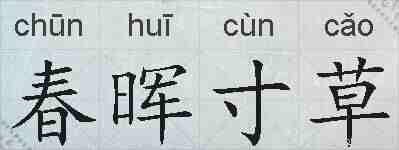 春晖寸草的拼音