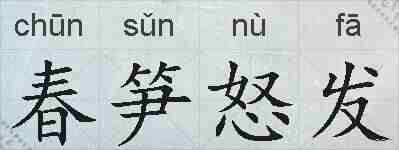 春笋怒发的拼音