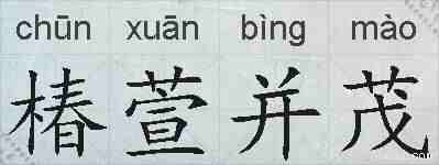 椿萱并茂的拼音