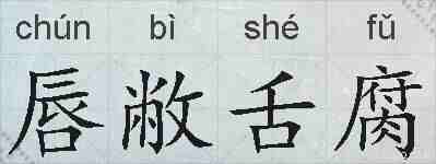 唇敝舌腐的拼音