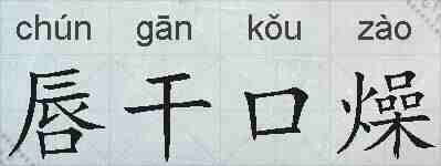 唇干口燥的拼音