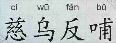 慈乌反哺的拼音