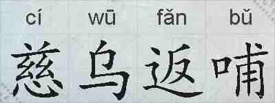 慈乌返哺的拼音