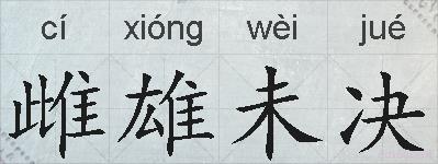 雌雄未决的拼音