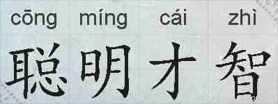 聪明才智的拼音