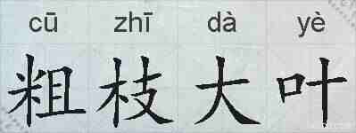 粗枝大叶的拼音