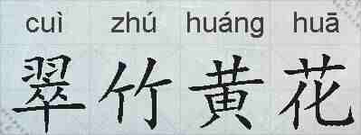 翠竹黄花的拼音