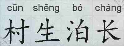 村生泊长的拼音