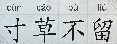寸草不留的拼音