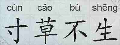 寸草不生的拼音