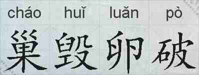 巢毁卵破的拼音