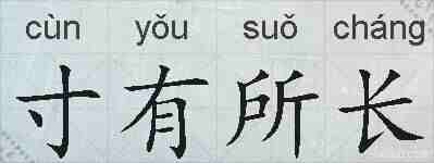 寸有所长的拼音