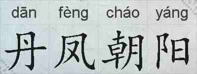 丹凤朝阳的拼音